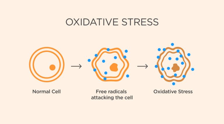 Free Radical Causes Oxidative Stress