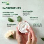 NMFe-Max-60GM-4